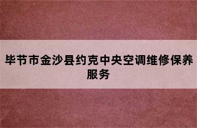 毕节市金沙县约克中央空调维修保养服务