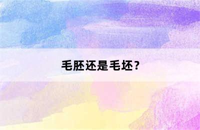 毛胚还是毛坯？