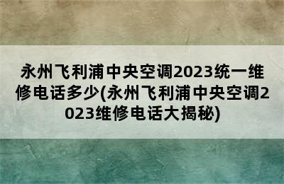 永州飞利浦中央空调2023统一维修电话多少(永州飞利浦中央空调2023维修电话大揭秘)