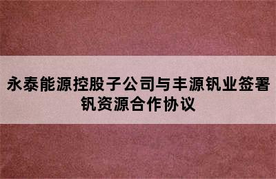 永泰能源控股子公司与丰源钒业签署钒资源合作协议