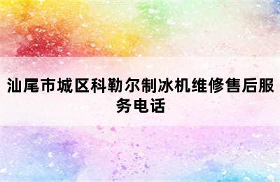 汕尾市城区科勒尔制冰机维修售后服务电话