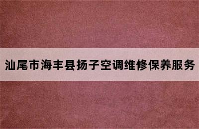 汕尾市海丰县扬子空调维修保养服务