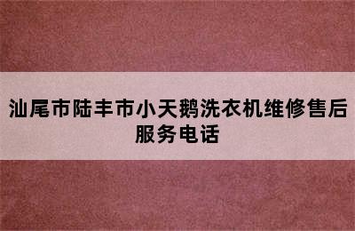 汕尾市陆丰市小天鹅洗衣机维修售后服务电话