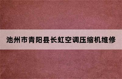 池州市青阳县长虹空调压缩机维修