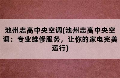 池州志高中央空调(池州志高中央空调：专业维修服务，让你的家电完美运行)