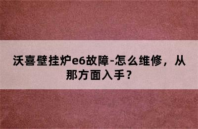 沃喜壁挂炉e6故障-怎么维修，从那方面入手？