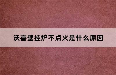 沃喜壁挂炉不点火是什么原因