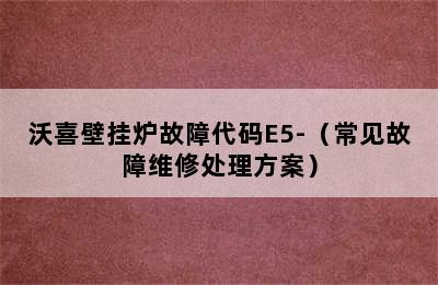 沃喜壁挂炉故障代码E5-（常见故障维修处理方案）