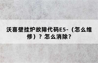 沃喜壁挂炉故障代码E5-（怎么维修）？怎么消除？