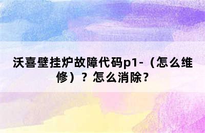 沃喜壁挂炉故障代码p1-（怎么维修）？怎么消除？