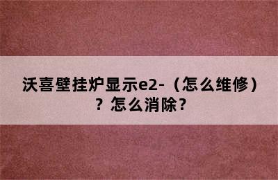 沃喜壁挂炉显示e2-（怎么维修）？怎么消除？