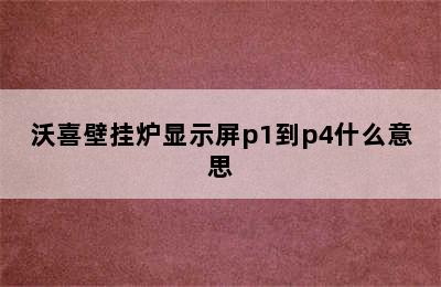 沃喜壁挂炉显示屏p1到p4什么意思