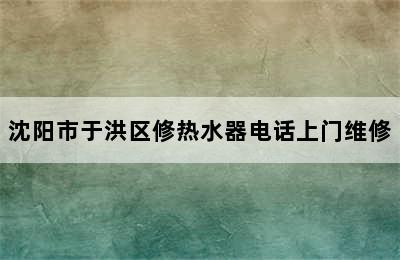 沈阳市于洪区修热水器电话上门维修