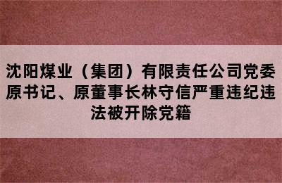 沈阳煤业（集团）有限责任公司党委原书记、原董事长林守信严重违纪违法被开除党籍