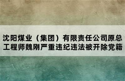 沈阳煤业（集团）有限责任公司原总工程师魏刚严重违纪违法被开除党籍