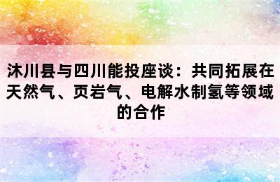沐川县与四川能投座谈：共同拓展在天然气、页岩气、电解水制氢等领域的合作