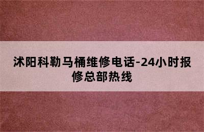 沭阳科勒马桶维修电话-24小时报修总部热线