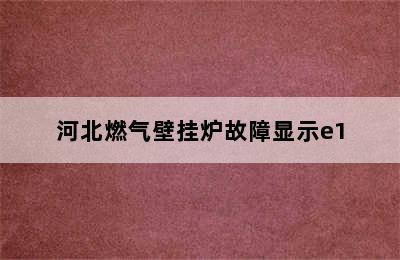 河北燃气壁挂炉故障显示e1