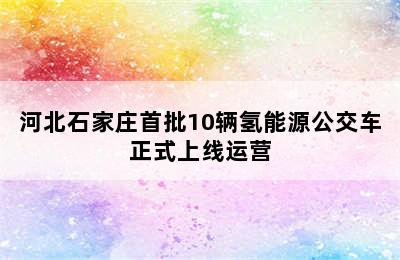 河北石家庄首批10辆氢能源公交车正式上线运营