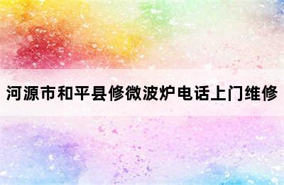 河源市和平县修微波炉电话上门维修