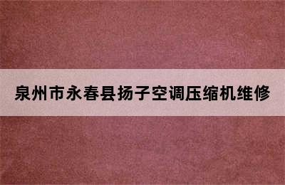 泉州市永春县扬子空调压缩机维修