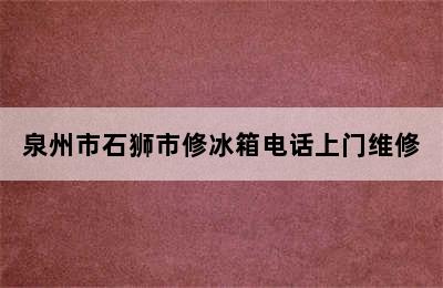 泉州市石狮市修冰箱电话上门维修