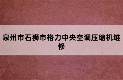 泉州市石狮市格力中央空调压缩机维修