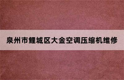 泉州市鲤城区大金空调压缩机维修