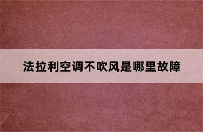 法拉利空调不吹风是哪里故障