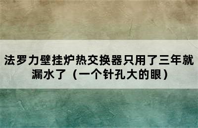 法罗力壁挂炉热交换器只用了三年就漏水了（一个针孔大的眼）