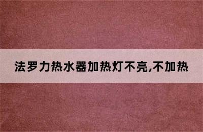 法罗力热水器加热灯不亮,不加热