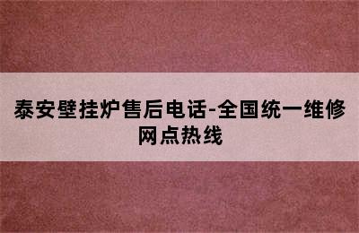 泰安壁挂炉售后电话-全国统一维修网点热线