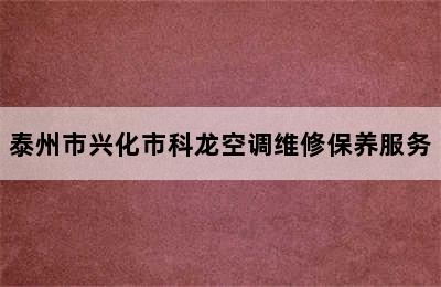 泰州市兴化市科龙空调维修保养服务