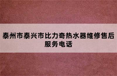 泰州市泰兴市比力奇热水器维修售后服务电话