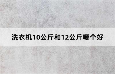 洗衣机10公斤和12公斤哪个好