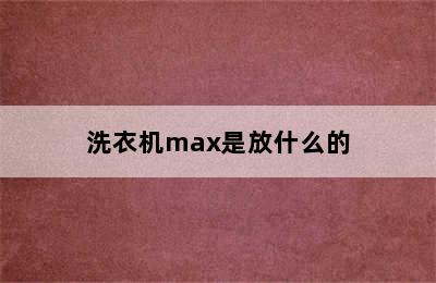 洗衣机max是放什么的