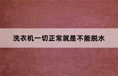 洗衣机一切正常就是不能脱水