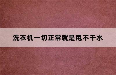 洗衣机一切正常就是甩不干水