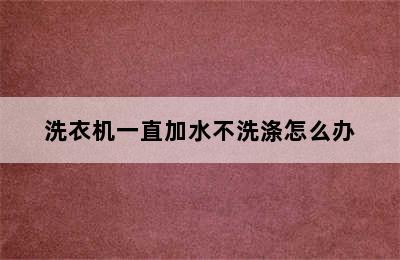 洗衣机一直加水不洗涤怎么办