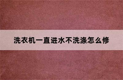 洗衣机一直进水不洗涤怎么修