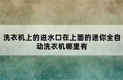 洗衣机上的进水口在上面的迷你全自动洗衣机哪里有