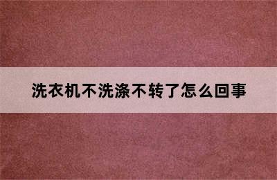 洗衣机不洗涤不转了怎么回事