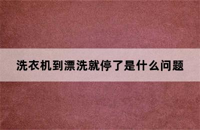 洗衣机到漂洗就停了是什么问题