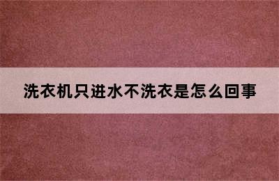 洗衣机只进水不洗衣是怎么回事