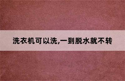 洗衣机可以洗,一到脱水就不转