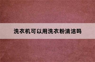 洗衣机可以用洗衣粉清洁吗