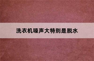 洗衣机噪声大特别是脱水