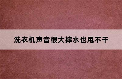 洗衣机声音很大摔水也甩不干