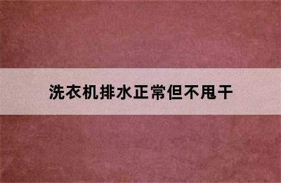 洗衣机排水正常但不甩干