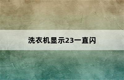 洗衣机显示23一直闪